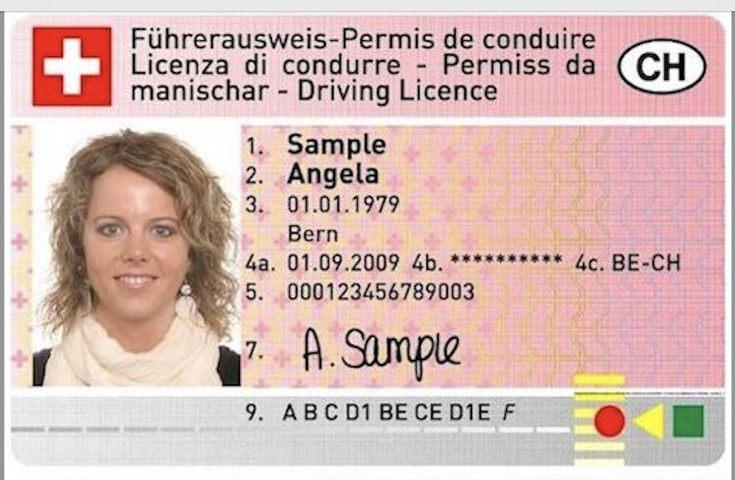 Führerschein Kaufen