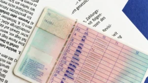 Read more about the article Führerschein Kaufen Preis
