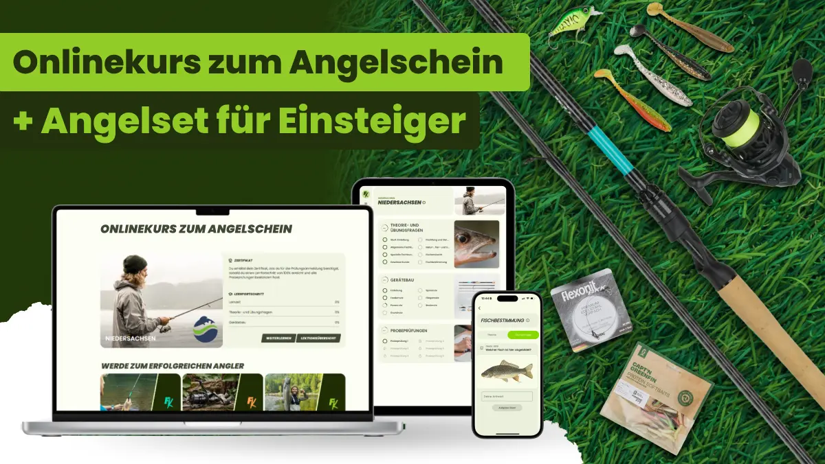 You are currently viewing Fischereischein Ohne Prüfung Online Nrw