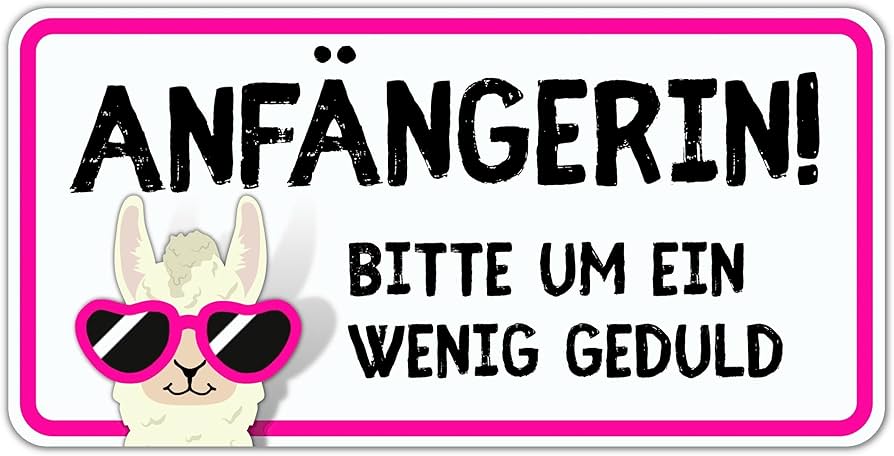 You are currently viewing Führerschein Für Anfänger