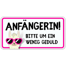 Read more about the article Führerschein Für Fahranfänger