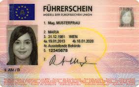 Read more about the article Führerschein Offiziell Erwerben