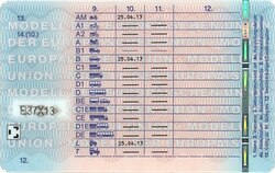 Read more about the article Führerschein Offiziell Und Schnell