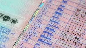 Read more about the article Führerschein Online Service