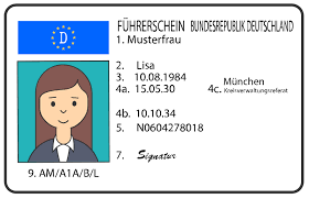 Read more about the article Führerschein Professionell Machen